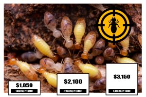 Termite Treatment Cost Per Square Foot