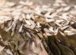 How Long Does Termite Tenting Last