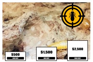 Termite Bond Cost