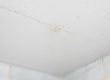 Early Stage Signs Of Termites In Ceiling