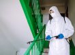 How Long After Pest Control Can I Go Inside