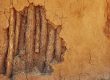 How To Repair Termite Damage