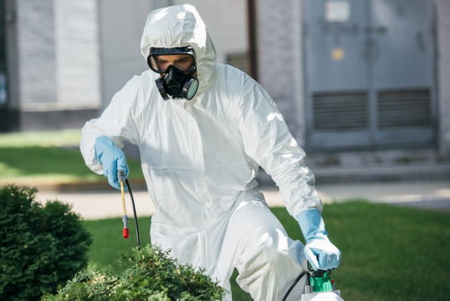 How Often Should Pest Control Be Done